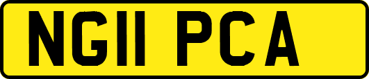 NG11PCA