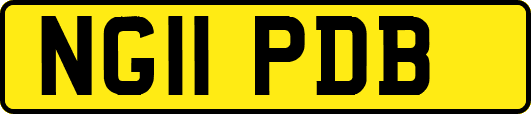 NG11PDB