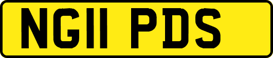 NG11PDS