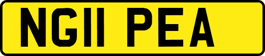 NG11PEA