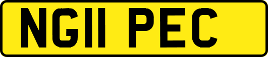 NG11PEC