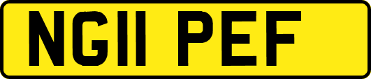NG11PEF
