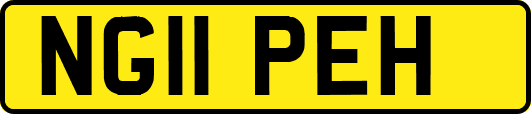 NG11PEH