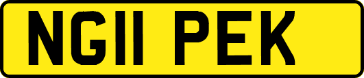 NG11PEK
