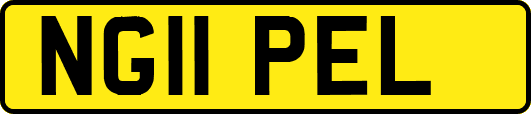 NG11PEL