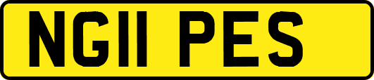 NG11PES