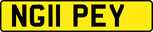 NG11PEY