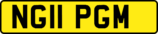 NG11PGM