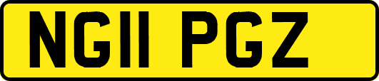 NG11PGZ
