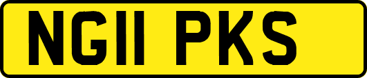 NG11PKS