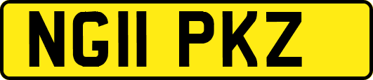 NG11PKZ