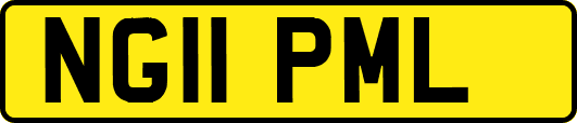 NG11PML