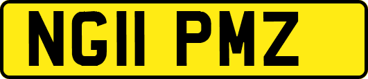 NG11PMZ