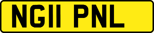 NG11PNL