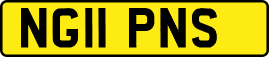 NG11PNS