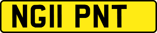 NG11PNT