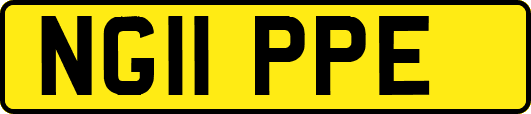 NG11PPE