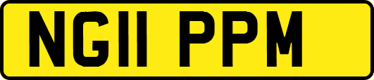 NG11PPM