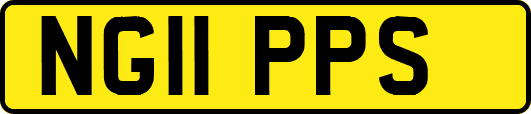 NG11PPS