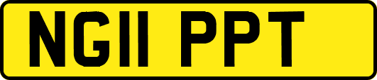 NG11PPT
