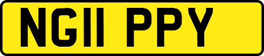 NG11PPY
