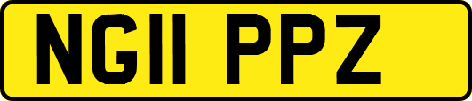 NG11PPZ