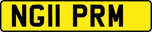 NG11PRM