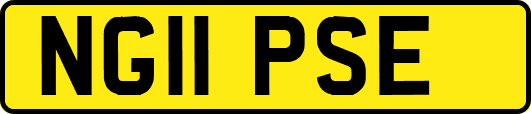 NG11PSE
