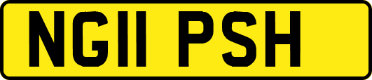 NG11PSH
