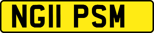 NG11PSM