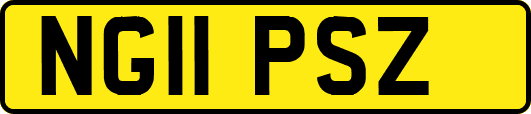 NG11PSZ