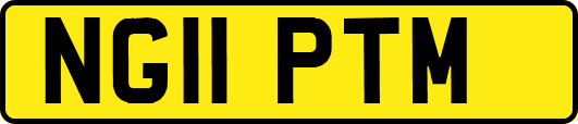 NG11PTM