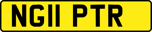 NG11PTR