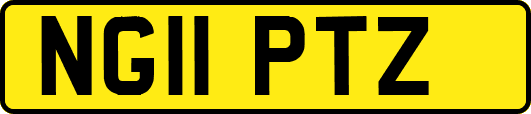 NG11PTZ