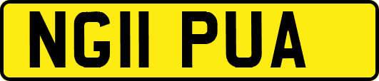 NG11PUA