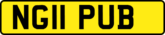 NG11PUB
