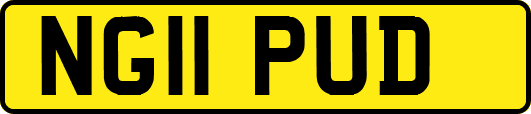 NG11PUD