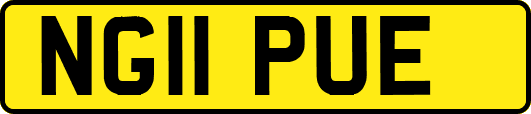 NG11PUE