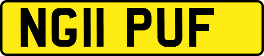 NG11PUF