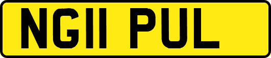 NG11PUL