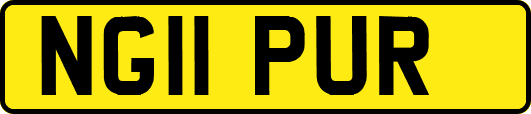 NG11PUR