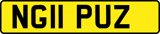 NG11PUZ