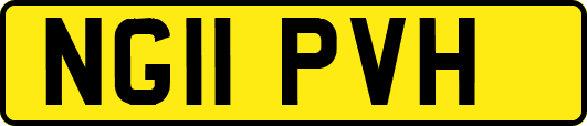 NG11PVH
