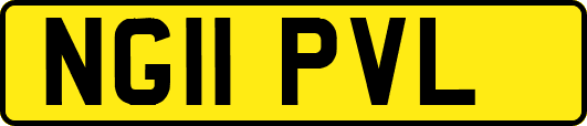 NG11PVL