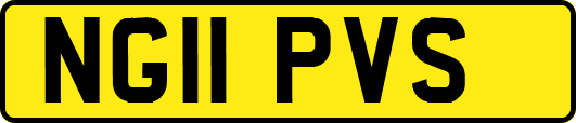 NG11PVS