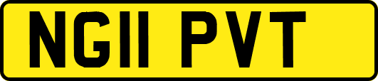 NG11PVT