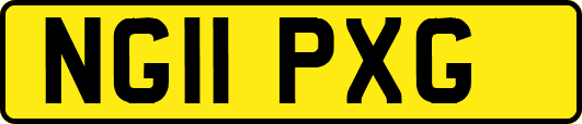 NG11PXG