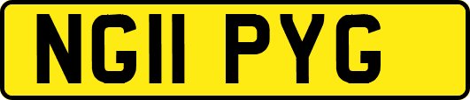 NG11PYG
