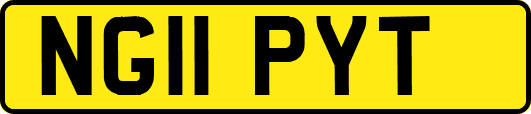 NG11PYT