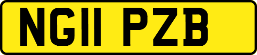 NG11PZB